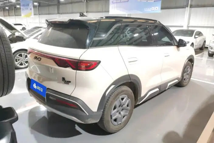 Yuan UP 2025 Model 301KM Pilot Model – фото 3