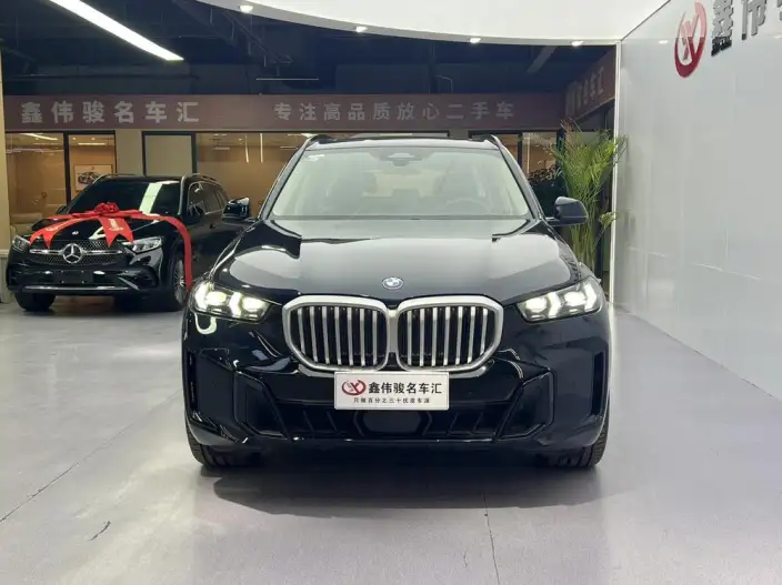 BMW X5 2023 Model xDrive30Li Exclusive Model M Sports Night Set – фото 2