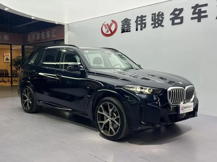 BMW X5 2023 Model xDrive30Li Exclusive Model M Sports Night Set – фото 3