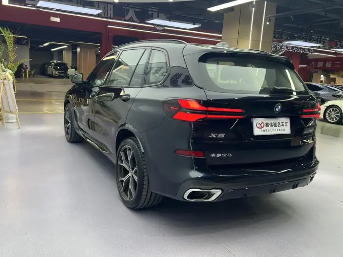 BMW X5 2023 Model xDrive30Li Exclusive Model M Sports Night Set – фото 4