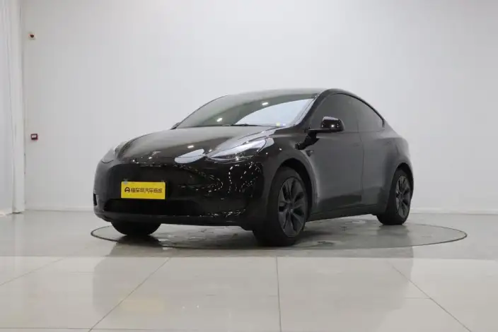 Model Y 2023 Model Rear-wheel drive version – фото 1