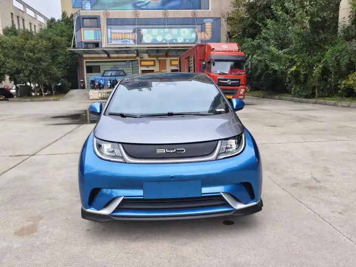 BYD Dolphin 2021 Model Knight Edition – фото 2