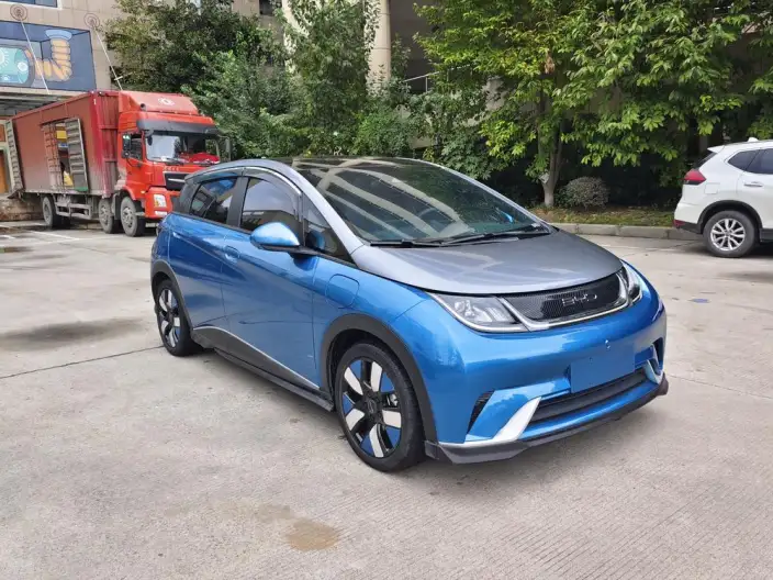 BYD Dolphin 2021 Model Knight Edition – фото 3