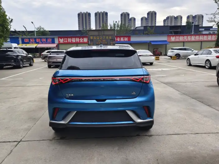 BYD Dolphin 2021 Model Knight Edition – фото 5