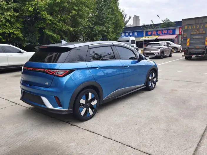 BYD Dolphin 2021 Model Knight Edition – фото 6