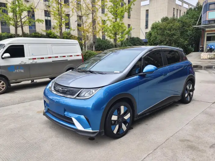 BYD Dolphin 2021 Model Knight Edition – фото 10