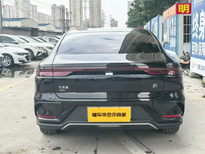 BYD Han DM 2022 Model DM-i 121KM Noble Model – фото 5