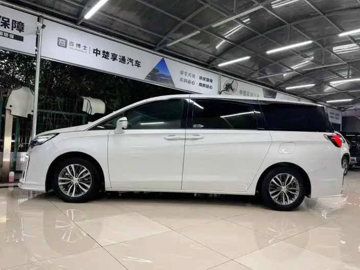 Buick GL8 2022 Model ES Luzun 653T Comfort Model – фото 3