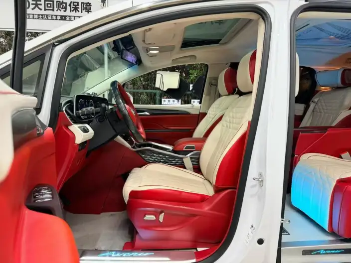 Buick GL8 2022 Model ES Luzun 653T Comfort Model – фото 8