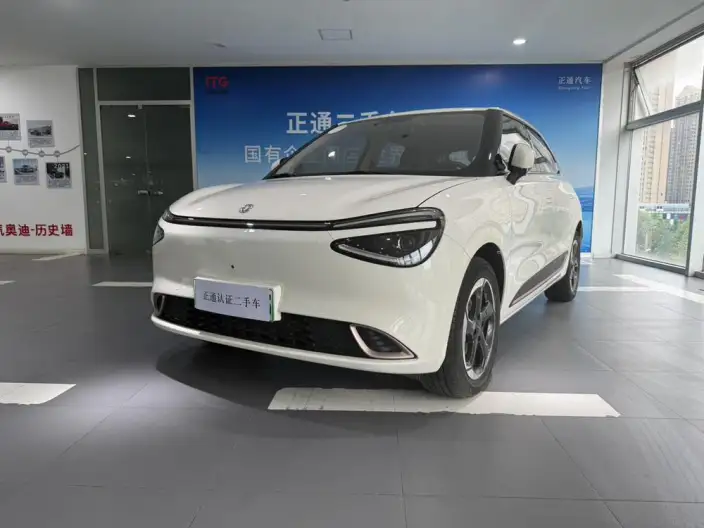 Dongfeng Nano 01 2024 Model 430Plus – фото 1