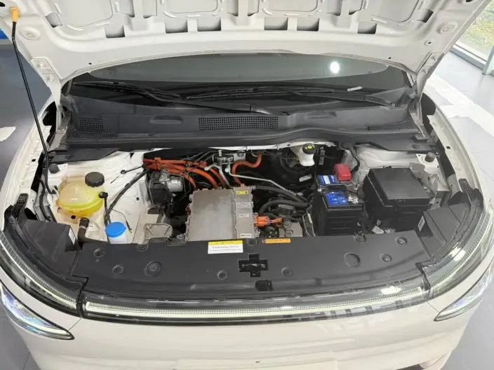 Dongfeng Nano 01 2024 Model 430Plus – фото 9