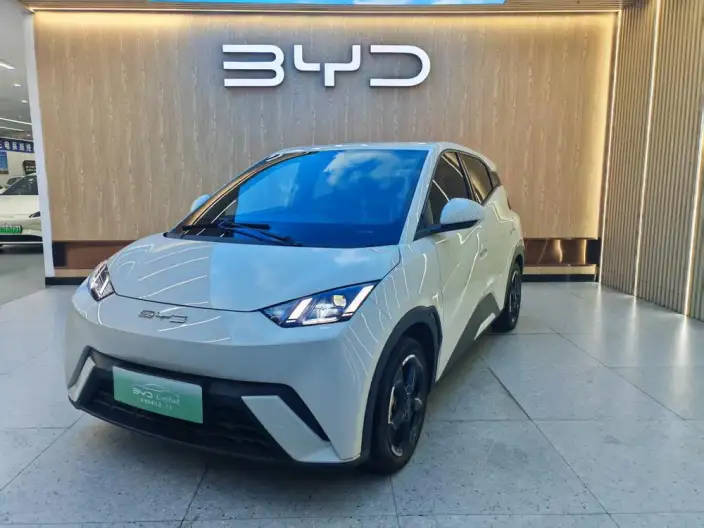 BYD Seagull 2023 Model Feixiang Edition – фото 1