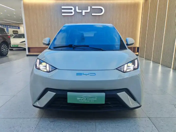 BYD Seagull 2023 Model Feixiang Edition – фото 2