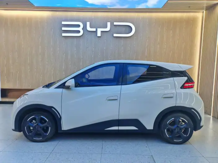 BYD Seagull 2023 Model Feixiang Edition – фото 3