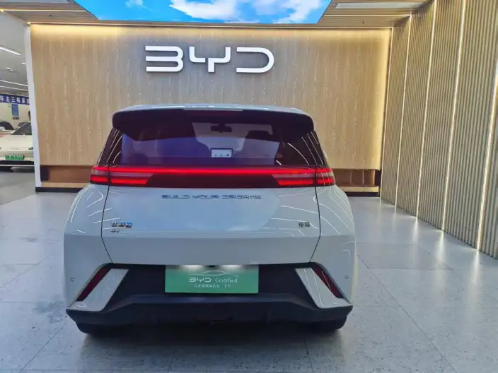 BYD Seagull 2023 Model Feixiang Edition – фото 4