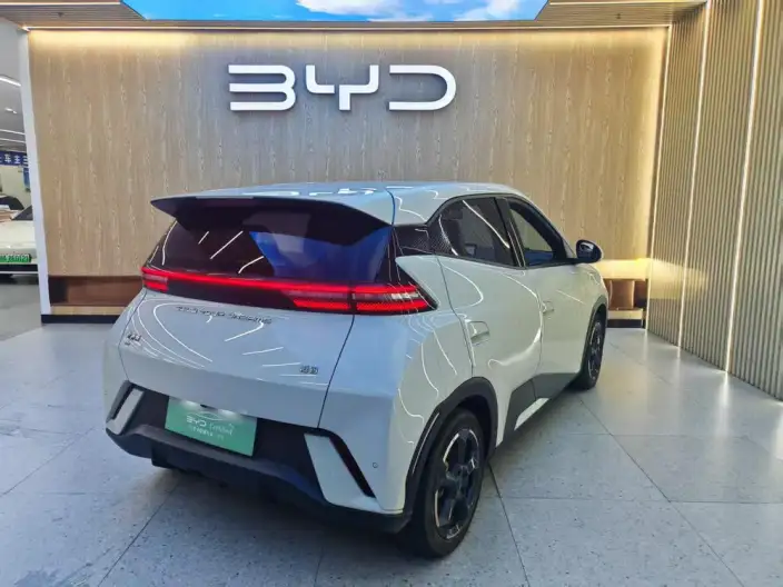 BYD Seagull 2023 Model Feixiang Edition – фото 5