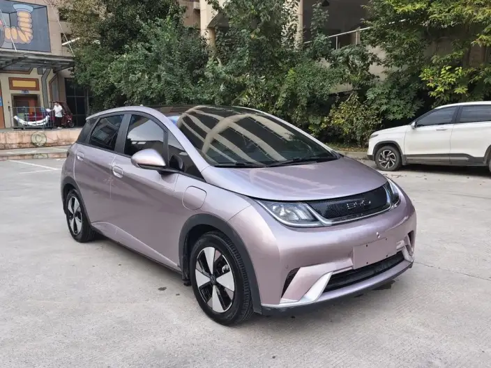 BYD Dolphin 2023 Model Fashion Edition – фото 3