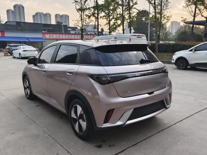 BYD Dolphin 2023 Model Fashion Edition – фото 4