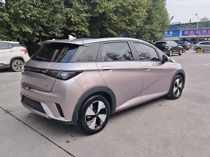 BYD Dolphin 2023 Model Fashion Edition – фото 6