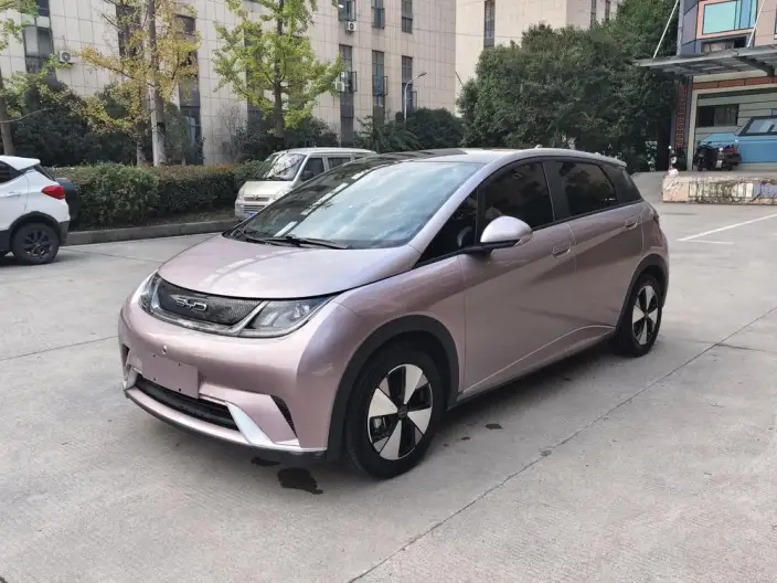 BYD Dolphin 2023 Model Fashion Edition – фото 10