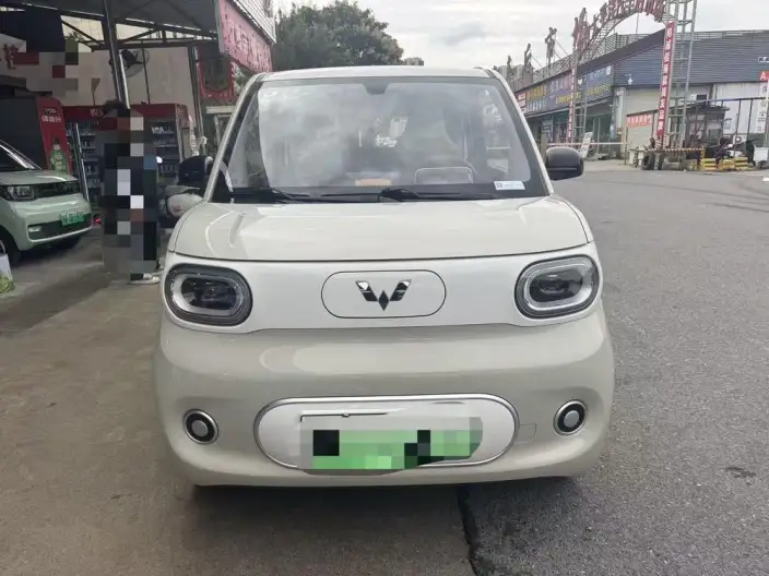 Wuling Hongguang MINIEV 2024 Model 215km Youth Edition Lithium Iron Phosphate