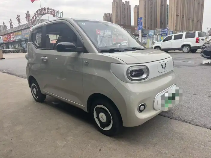 Wuling Hongguang MINIEV 2024 Model 215km Youth Edition Lithium Iron Phosphate