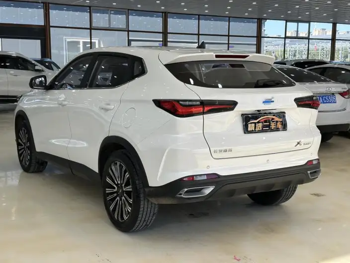 Changan Oshan X5 2022 Model Sports Edition 1.5T DCT Hurricane speed of Sound