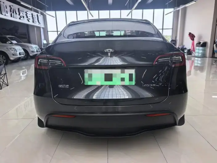 Model Y 2024 Model Long Battery Life Pro All-wheel drive version – фото 5