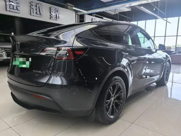 Model Y 2024 Model Long Battery Life Pro All-wheel drive version – фото 6
