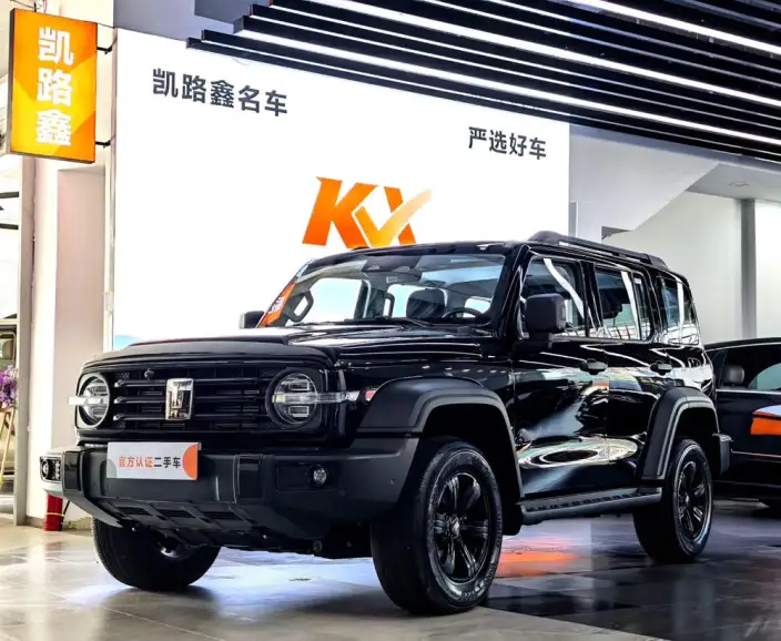 Tank 300 2025 Model 2.4T Diesel Edition – фото 1