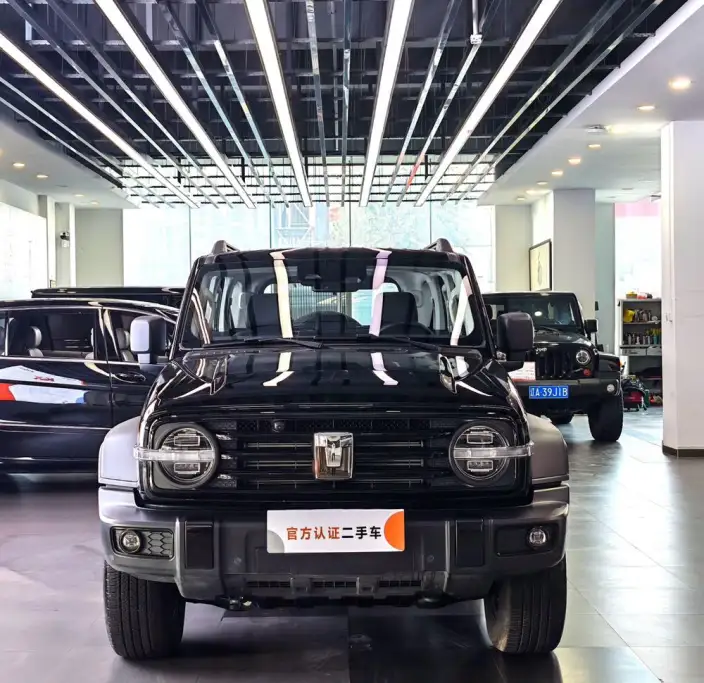 Tank 300 2025 Model 2.4T Diesel Edition – фото 2