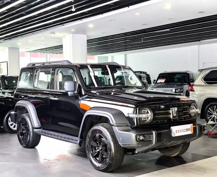 Tank 300 2025 Model 2.4T Diesel Edition – фото 3