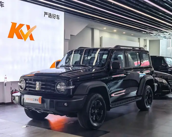 Tank 300 2025 Model 2.4T Diesel Edition – фото 9