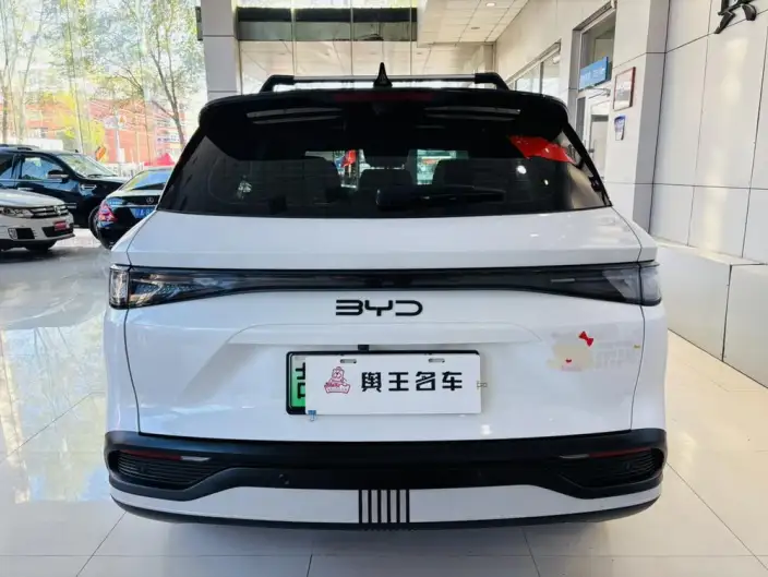 Haise 05DM 2025 Model Smart Driving Edition DM-i 75KM Noble Model – фото 6