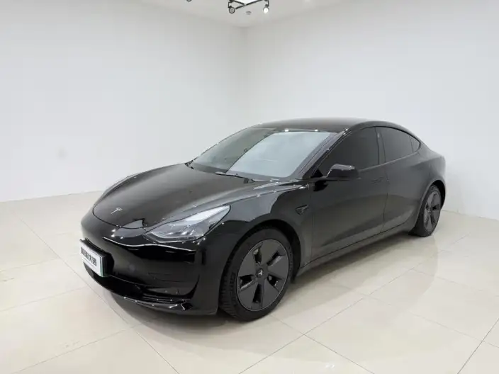Model 3 2022 Model Rear-wheel drive version – фото 1
