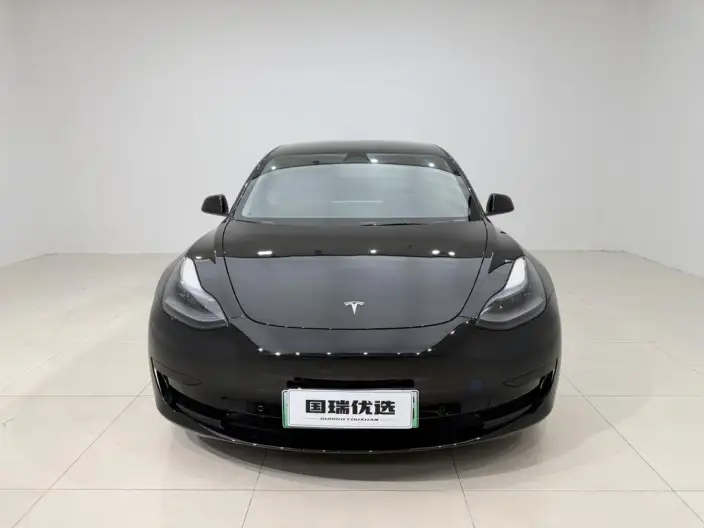Model 3 2022 Model Rear-wheel drive version – фото 2