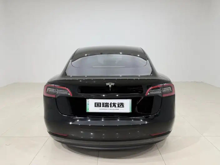 Model 3 2022 Model Rear-wheel drive version – фото 5