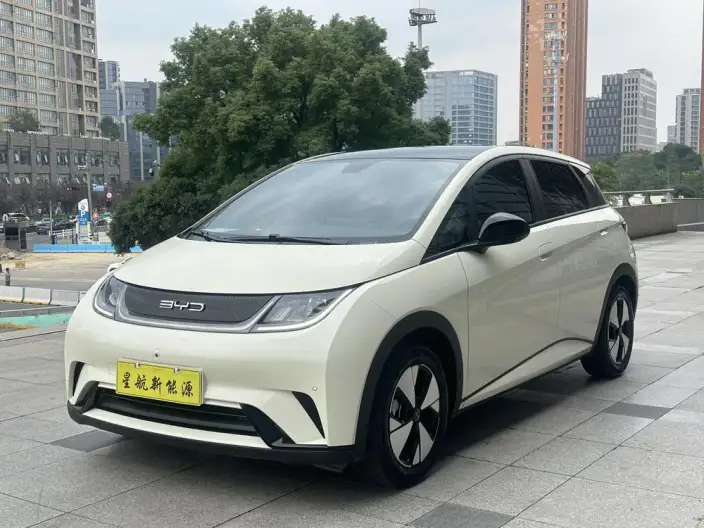 BYD Dolphin 2023 Model Fashion Edition – фото 1
