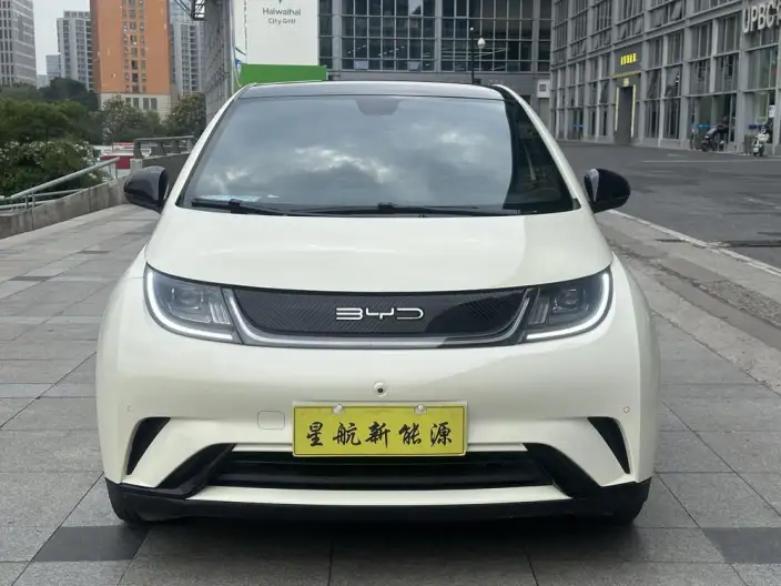 BYD Dolphin 2023 Model Fashion Edition – фото 2