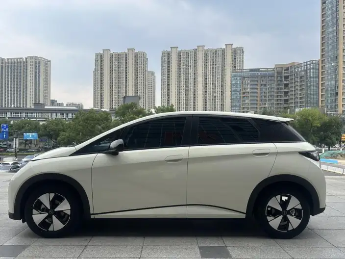 BYD Dolphin 2023 Model Fashion Edition – фото 4