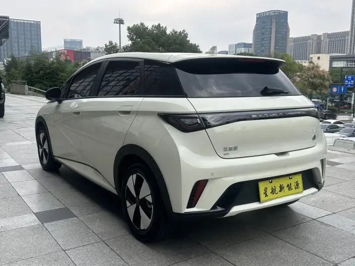 BYD Dolphin 2023 Model Fashion Edition – фото 5