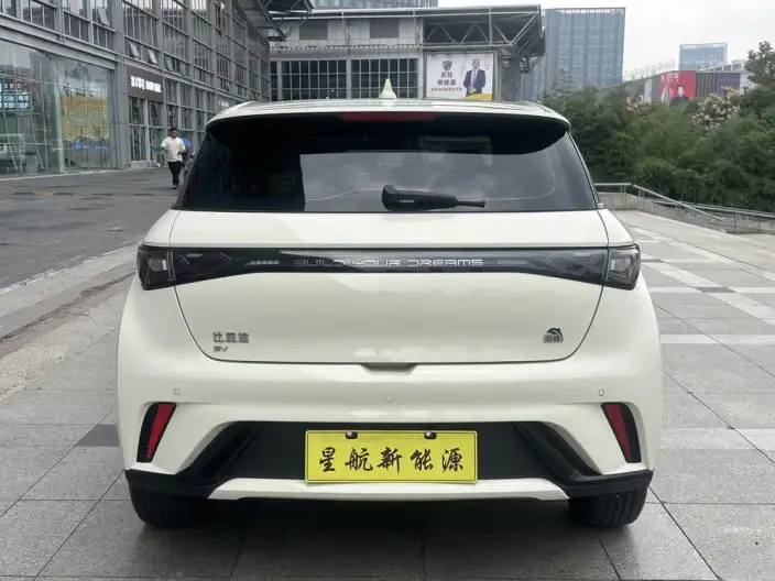 BYD Dolphin 2023 Model Fashion Edition – фото 6