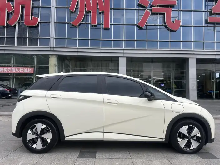 BYD Dolphin 2023 Model Fashion Edition – фото 8