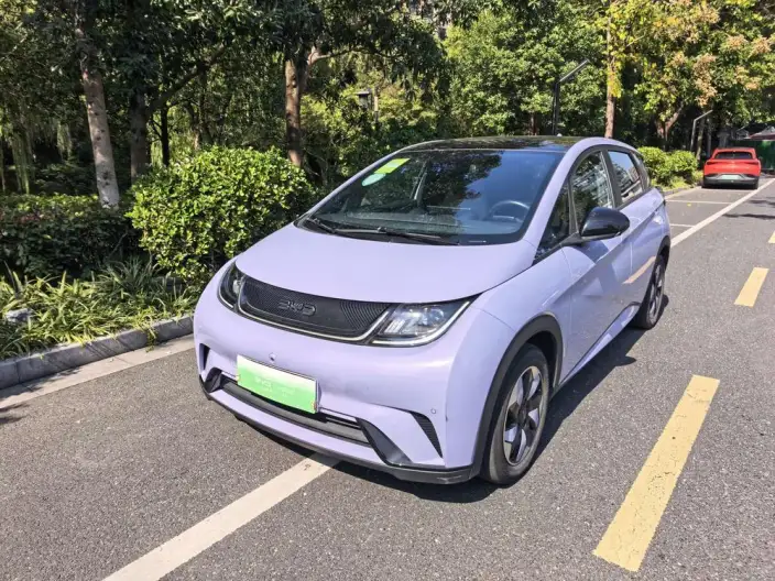 BYD Dolphin 2024 Model Honor Edition 420km Fashion Edition – фото 1