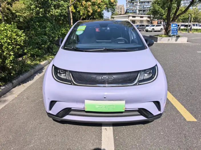 BYD Dolphin 2024 Model Honor Edition 420km Fashion Edition – фото 2