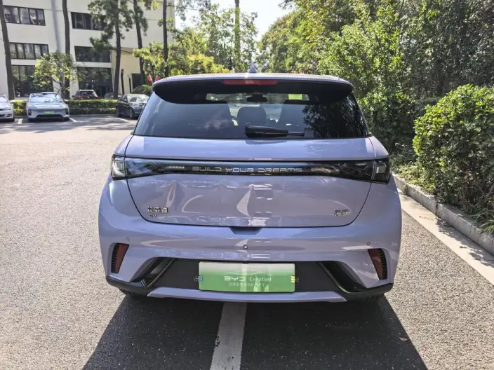 BYD Dolphin 2024 Model Honor Edition 420km Fashion Edition – фото 4