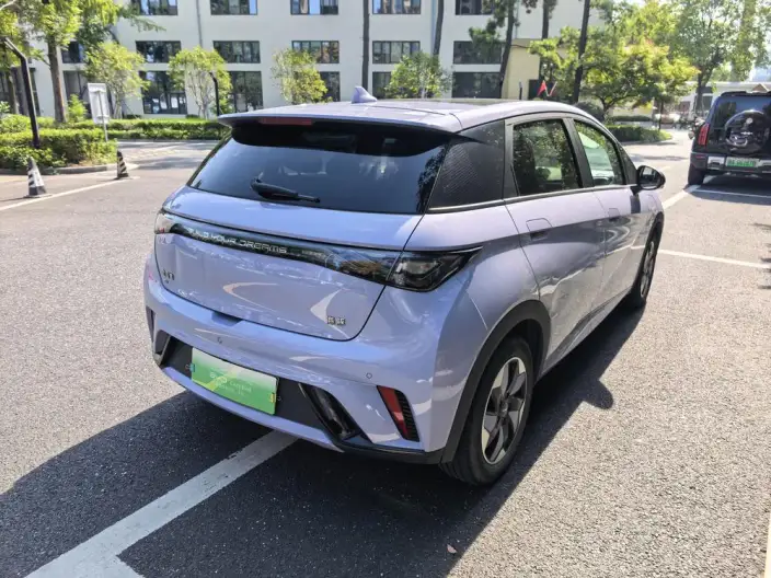 BYD Dolphin 2024 Model Honor Edition 420km Fashion Edition – фото 5