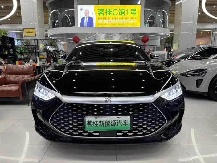 BYD Han DM 2024 Model DM-i Honor Edition 121KM Noble Model – фото 2