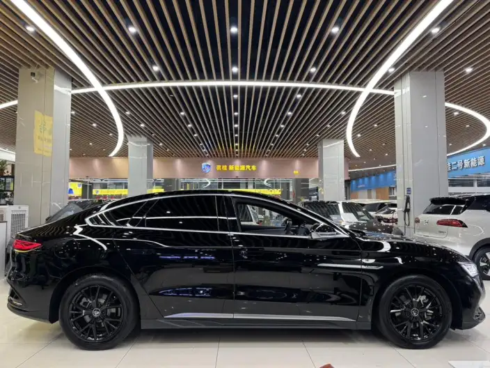 BYD Han DM 2024 Model DM-i Honor Edition 121KM Noble Model – фото 7