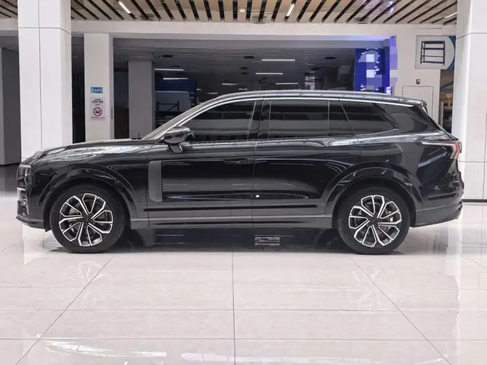 Lynk & Co 09 2024 Model 2.0T 4WD Sports Edition – фото 4